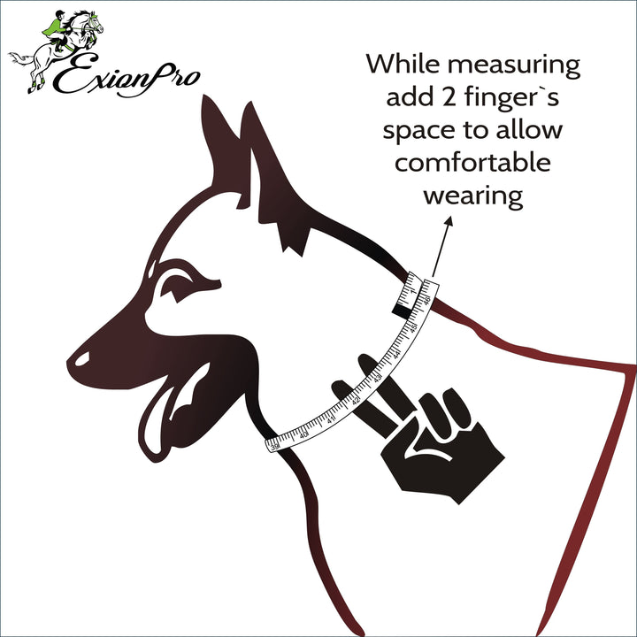 ExionPro Fancy Stitched Padded Leather Dog Collar - Brown Padding-Dog Collars-Bridles & Reins