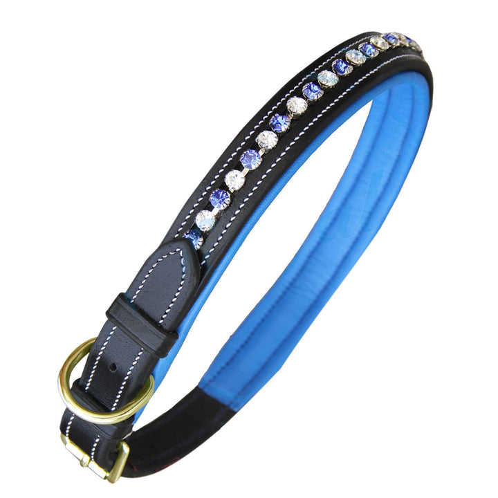 ExionPro White & Blue Bling Dog Collar-Dog Collars-Bridles & Reins