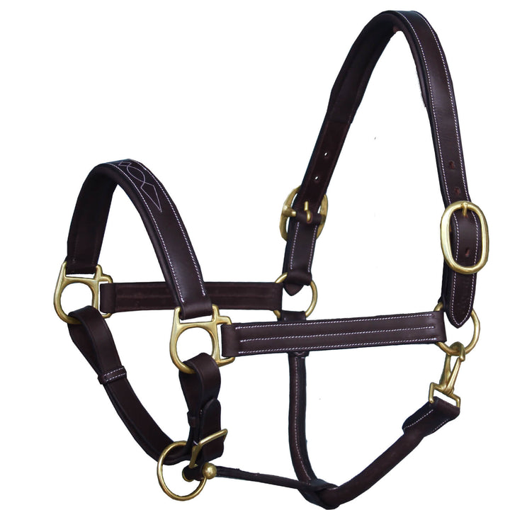 ExionPro Triple Stitched Cheek & Designer Fancy Padded Leather Halter-Brass Buckles-Halters-Bridles & Reins