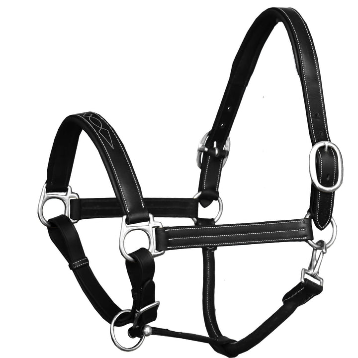 ExionPro Triple Stitched Cheek & Designer Fancy Padded Leather Halter - Brass Nickel Buckles-Halters-Bridles & Reins