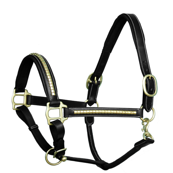 ExionPro Gold Brass Clincher Studded Horse Halter-Halters-Bridles & Reins