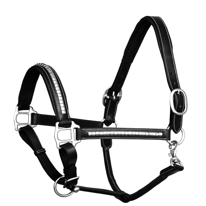 ExionPro Silver Brass Clincher Studded Horse Halter-Halters-Bridles & Reins