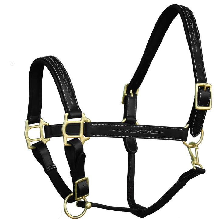 ExionPro Six Fancy Padded Halter-Brass Hardware-Halters-Bridles & Reins