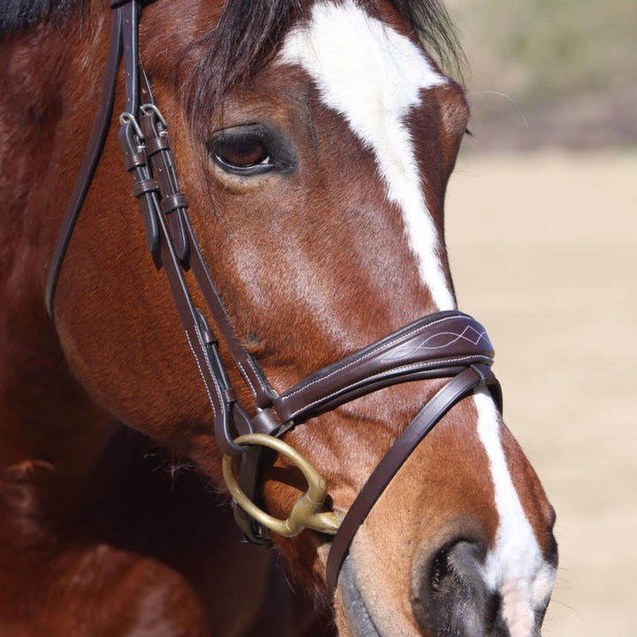 ExionPro Anatomical Dressage Bridle with Reins-Bridles-Bridles & Reins