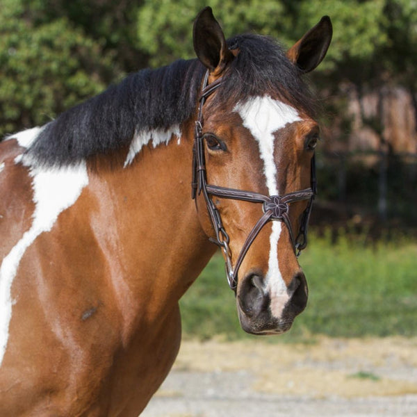 ExionPro Designer Fancy Stitched Figure 8 English Bridle With Rubber Rein-Bridles-Bridles & Reins